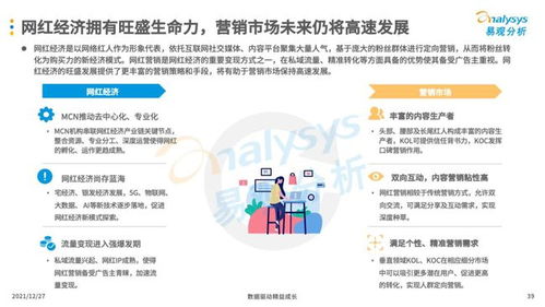 互聯網廣告營銷與信息系統集成服務 現代企業的必備技能